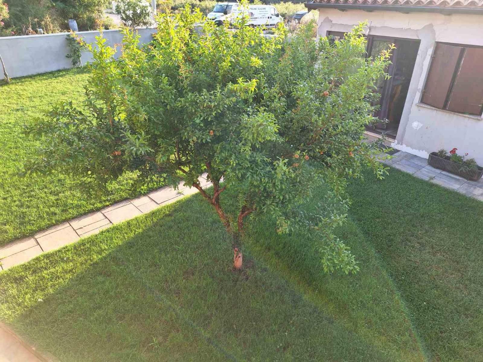 Apartments Ines Pula Ngoại thất bức ảnh